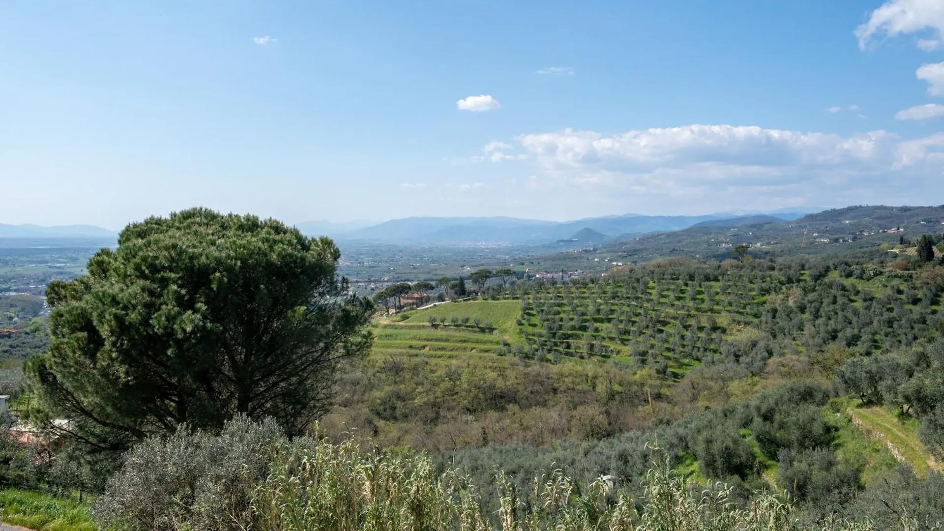 Bed And Breakfast Mea Familia Fornello  Bed & Breakfast Fornello (Pistoia)